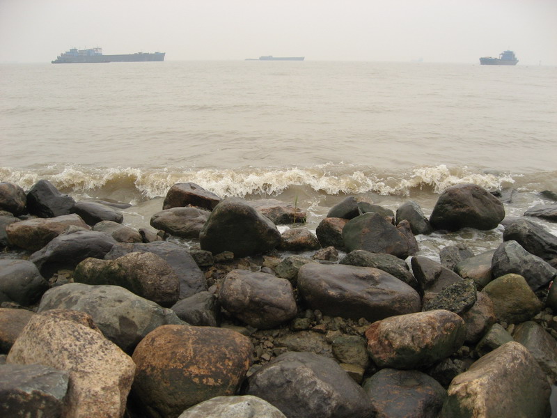 淞炮台湾湿地森林公园一日游 摄影 浪潮梦逸