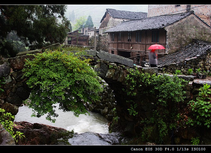 在雨中 摄影 柯闲客