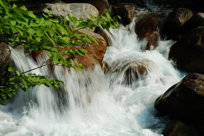 大鄣山之水 摄影 港城晨曦