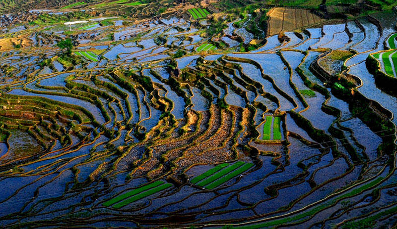 五彩梯田 摄影 霞湖客