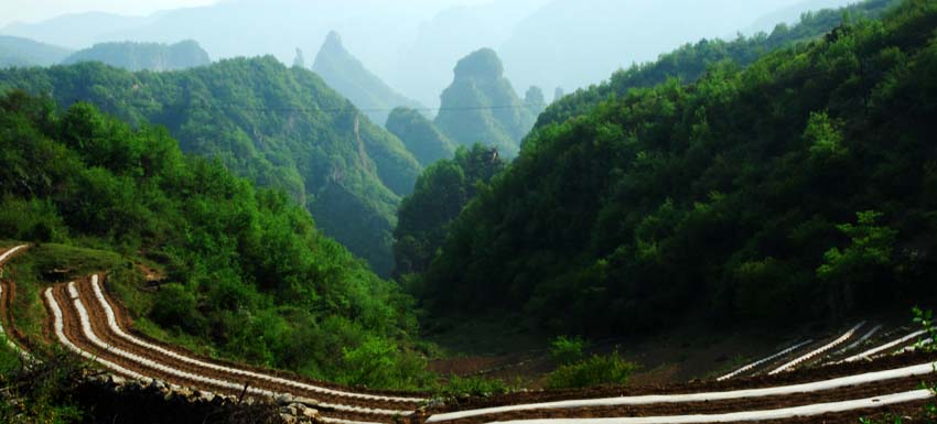 王莽岭(局部) 摄影 乐山郎