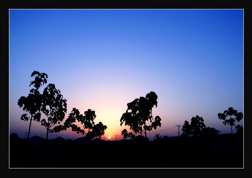 夕照续三之平原有个好天气 摄影 义和团