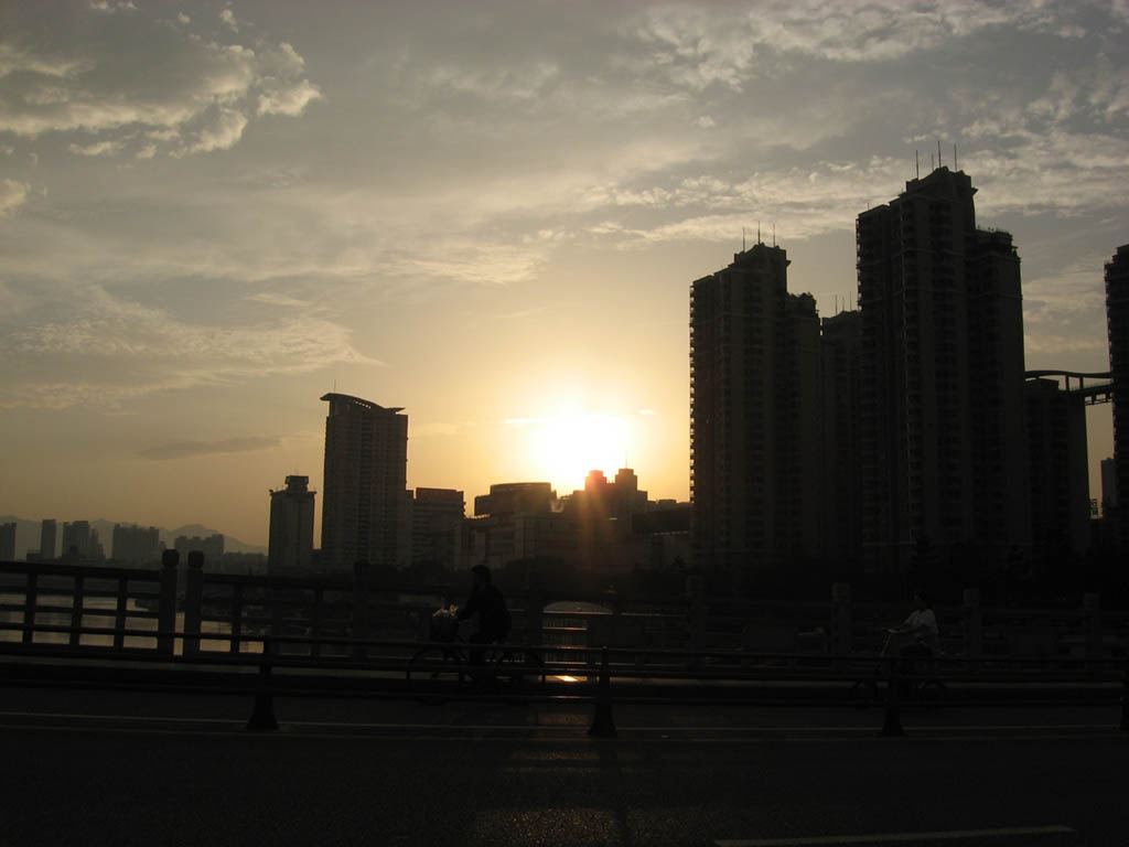 夕阳无限好！ 摄影 鸽子鸟