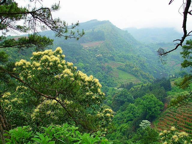 山外青山 摄影 嘎玛