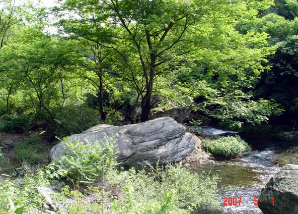 芝林小景2 摄影 yyjxy