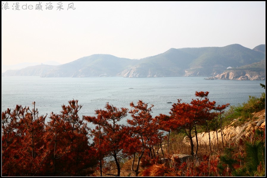 威海清晨的风景 摄影 只会浪漫