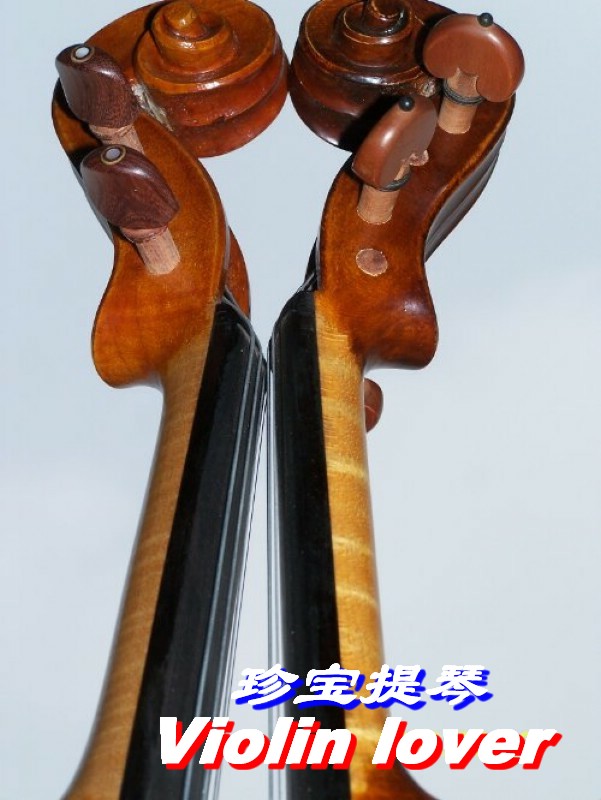 Violin 摄影 小提琴情人