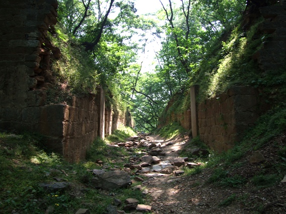 关山古道（4） 摄影 柳杨河畔