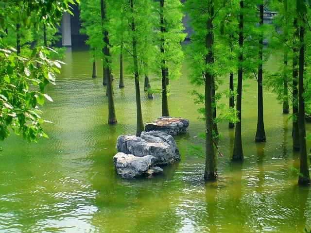 城市的风景 摄影 嘎玛