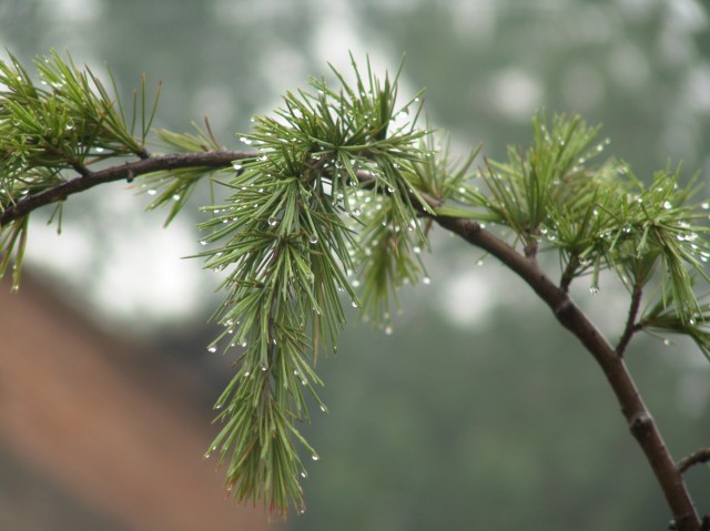 雷雨过后 摄影 巫师不信童话