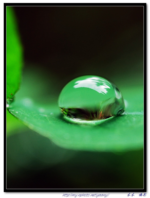 雨露 摄影 木木