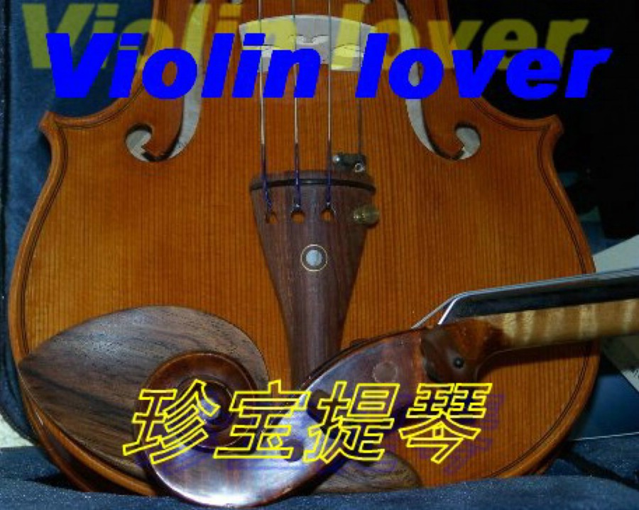 Violin 摄影 小提琴情人