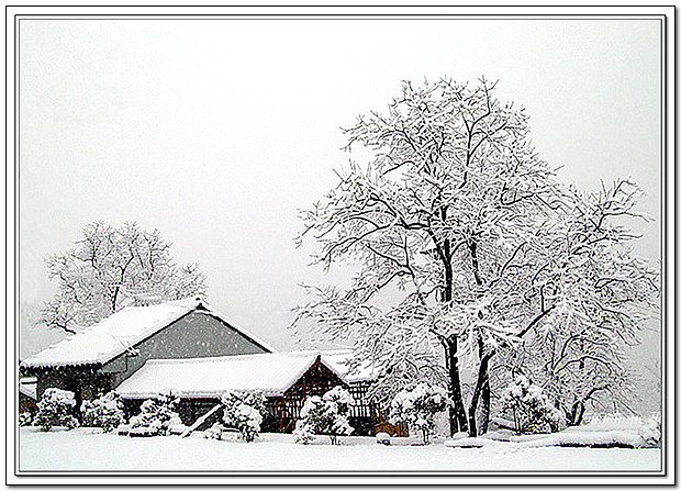 《雪村》 摄影 余姚彤影