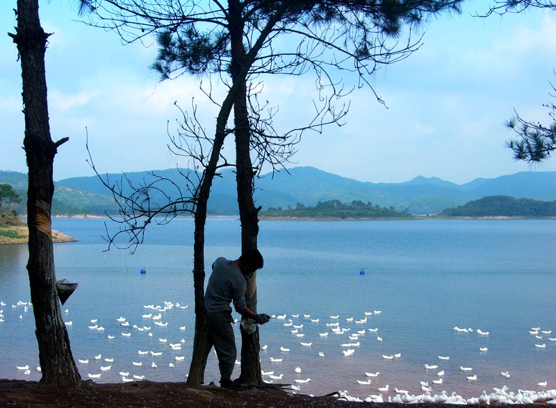 潼湖 摄影 青山依旧