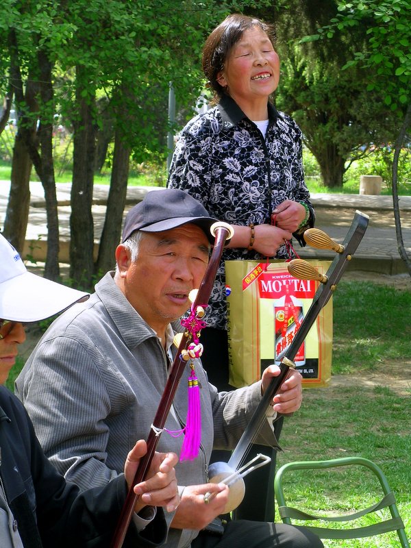 陶醉 摄影 苹果园