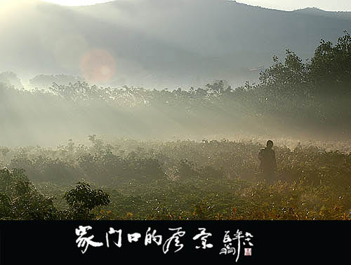 家门口的风景\晨曦 摄影 苏州山山山