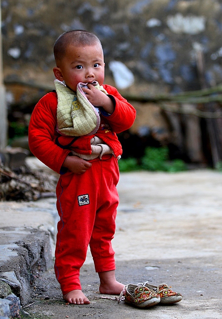 小虎子2 摄影 心静如水