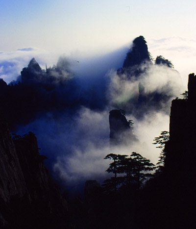 水墨黄山 摄影 黄山根宝