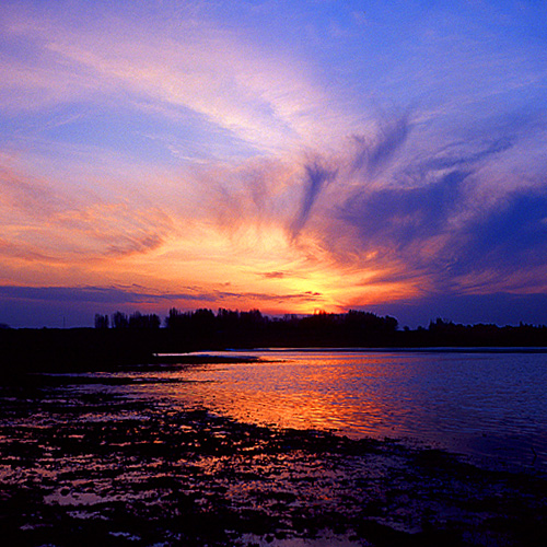 血色夕阳 摄影 狼夹子