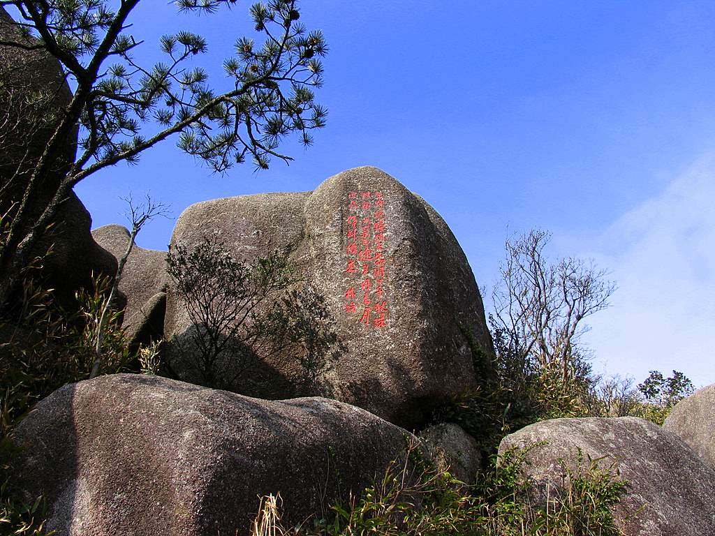 神啄电脑 摄影 蓝色驴