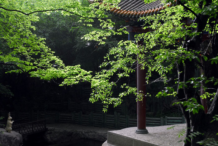 大山深处 摄影 窗外晨雨