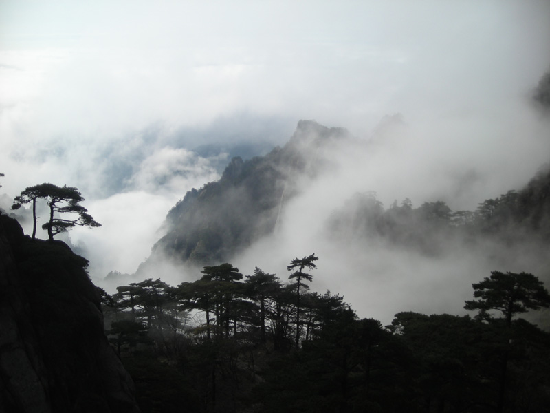 黄山云雾 摄影 北海