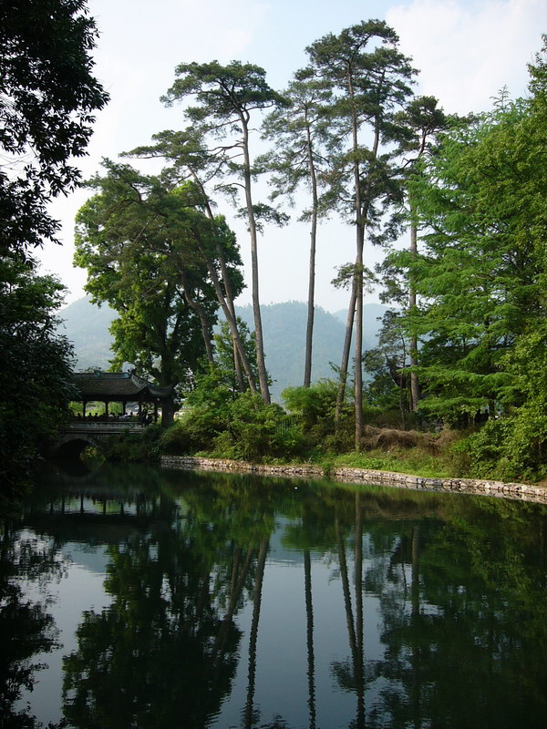 怡景 摄影 游摄天下