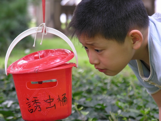 好奇 摄影 山中居士