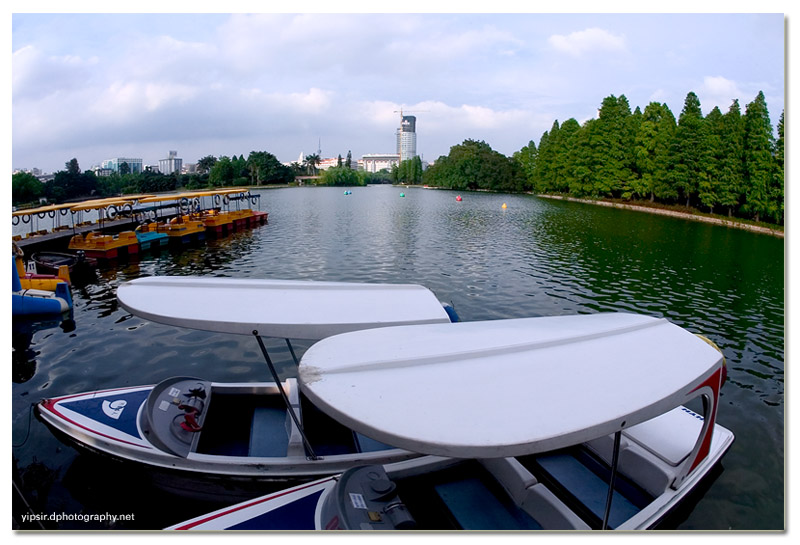我喜爱的广州流花湖 摄影 yipsir