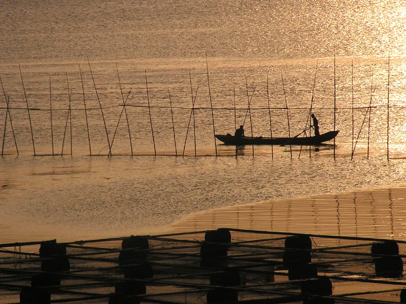 夕阳下的渔舟 摄影 楚天