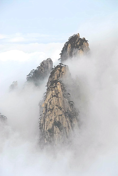 写意黄山 摄影 黄山根宝