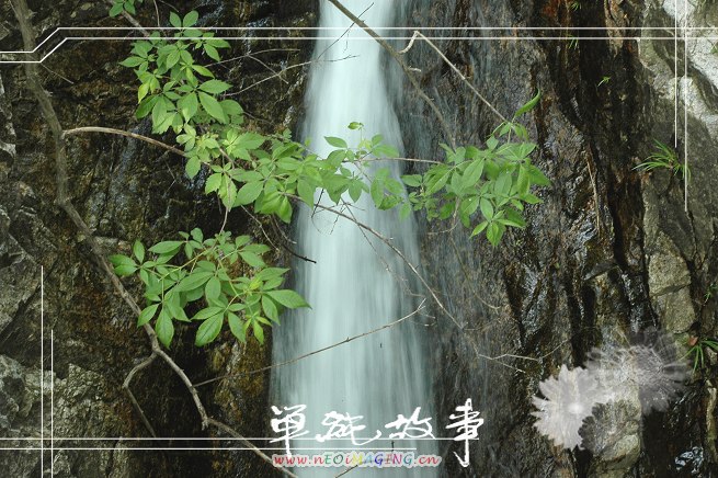 鸡公山游记(山水) 摄影 汪洋一帆