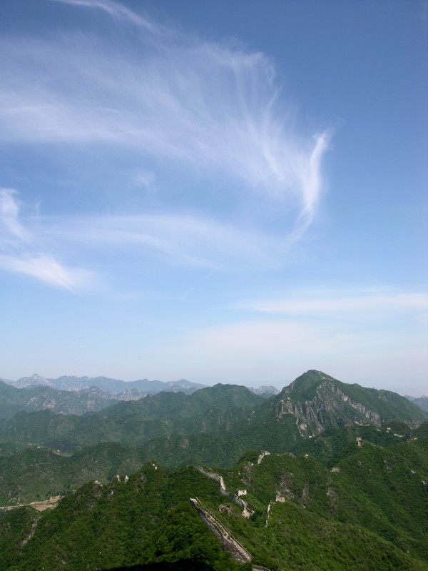 凤舞九天 摄影 Wangkeung