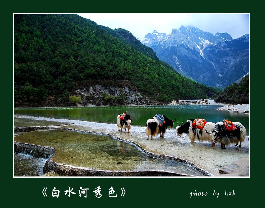 《白水河秀色》 摄影 九寨春色