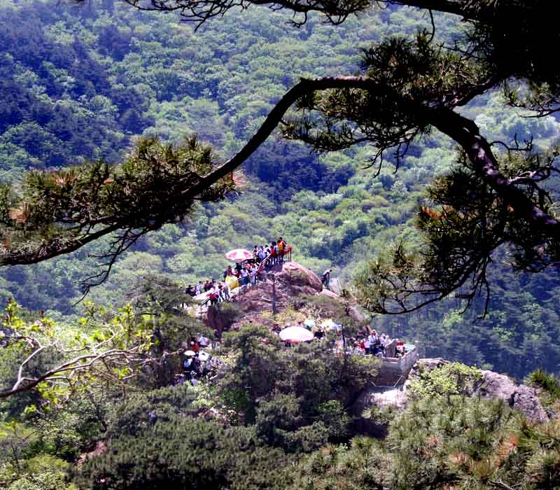 千山风光4 摄影 老树红楼