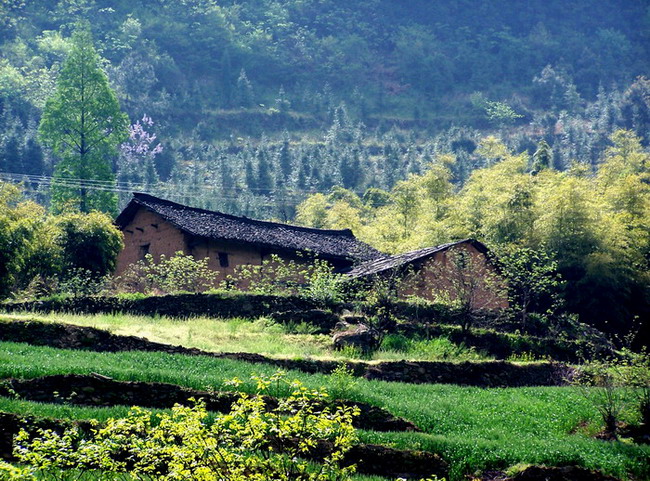 山村 摄影 飞天特使