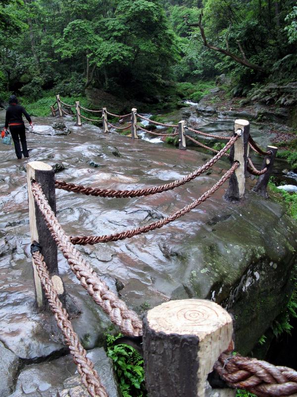 细雨润无声 摄影 新图客