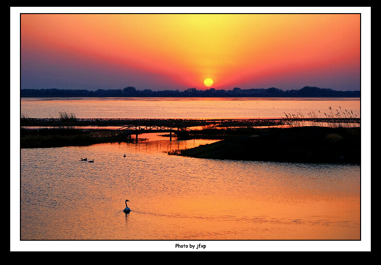 夕照湿地1 摄影 加菲小帕