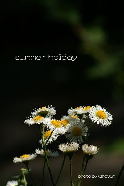 summer holiday 摄影 windyun