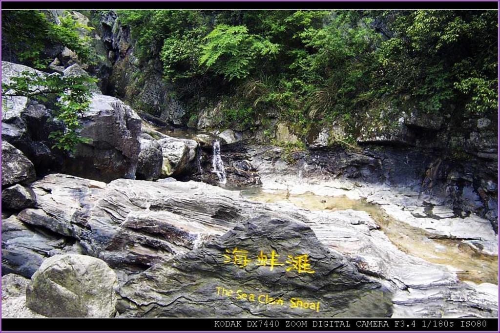 黄山风光（1）——海蚌滩 摄影 qianyuda448