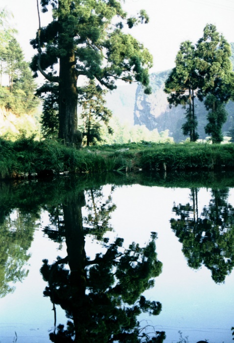 浙南有个岩背村（1）：水口 摄影 平平村夫