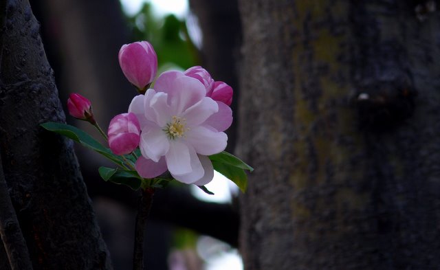 生存空间 摄影 老拙