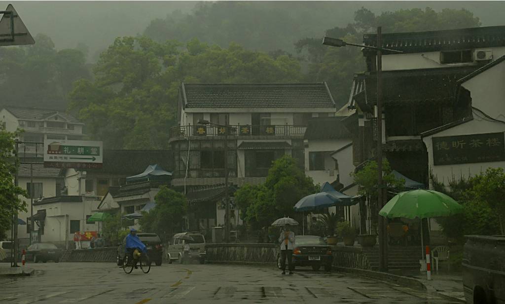 杭州.梅家坞游记(6) 摄影 fengsheng