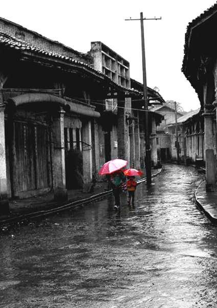 雨巷 摄影 流浪狗ER