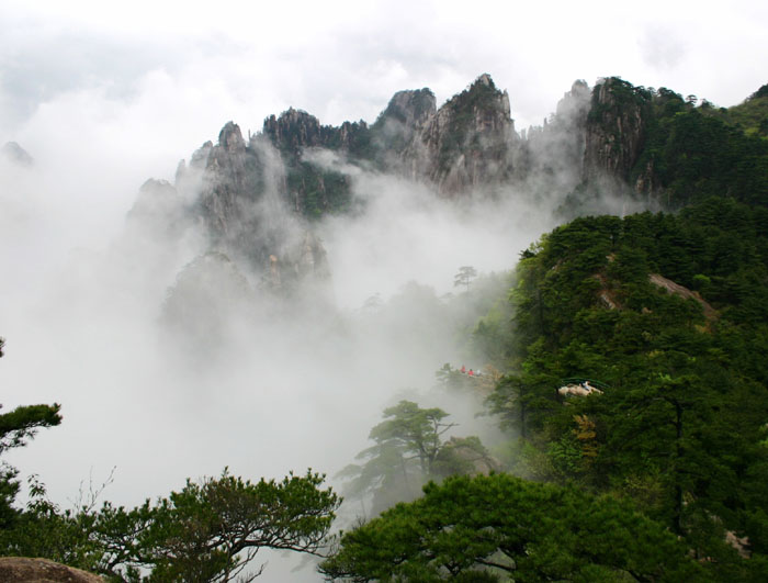 雨后黄山 摄影 黄山根宝