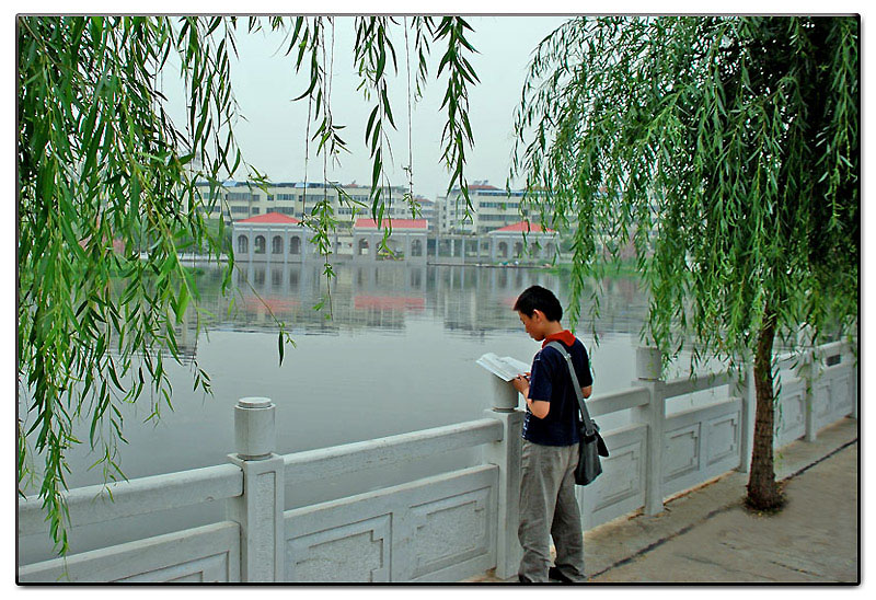 读春 摄影 秋日暮雨