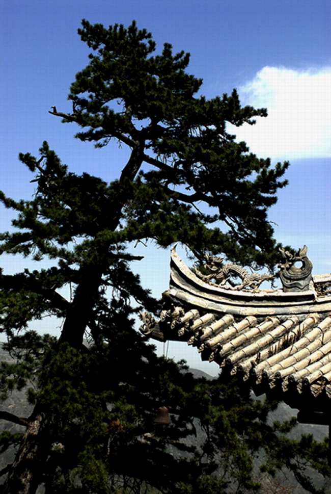 深山藏古寺 摄影 独赏春雪