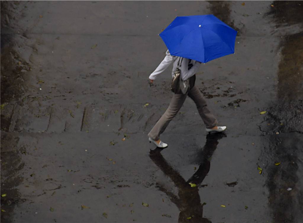 　雨.伞.人 (2) 摄影 fengsheng