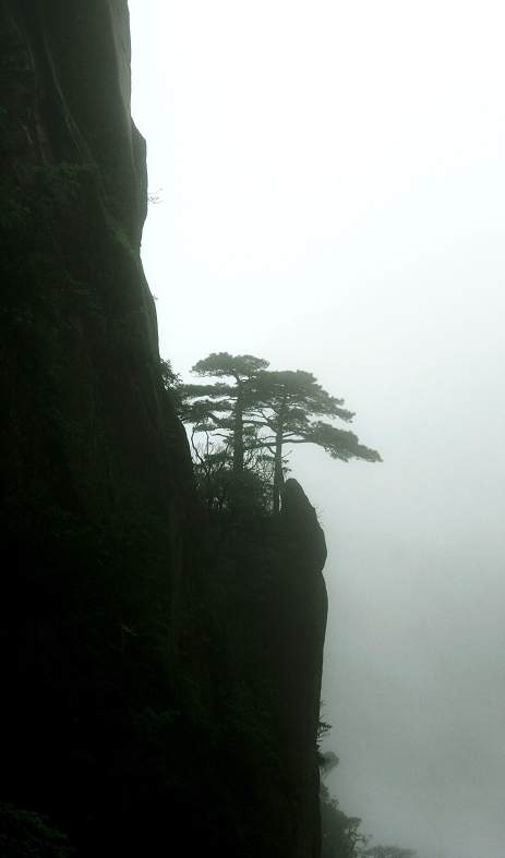 三清山（2） 摄影 牛乐