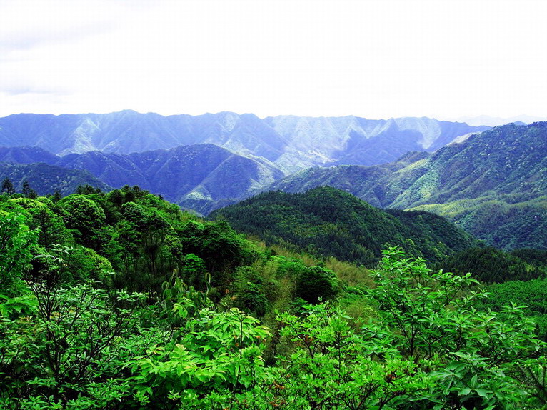 阳明山美景之：青峰叠翠 摄影 吾言